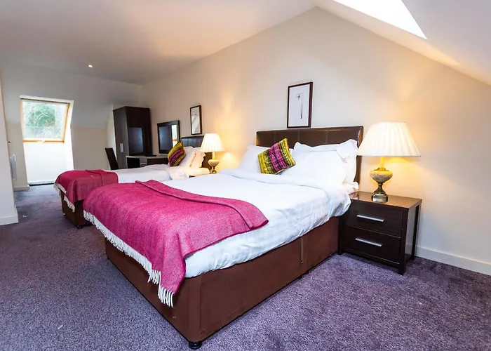 Avenue 10 Prázdninový dům Killarney